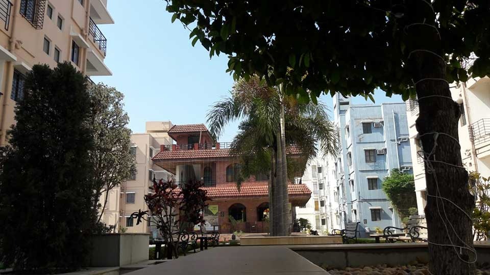 Gallery 12