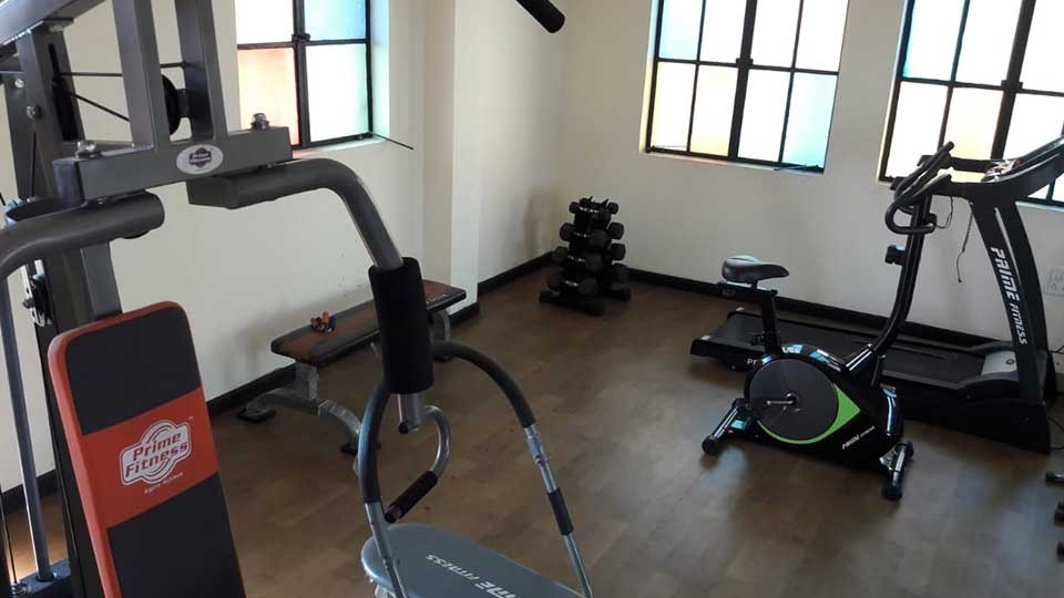 Gallery 41