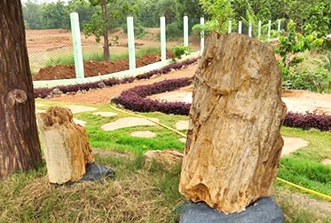 Gallery 2